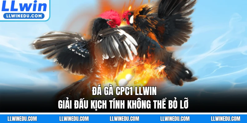 Đá Gà CPC1 LLWIN - Giải Đấu Kịch Tính Không Thể Bỏ Lỡ