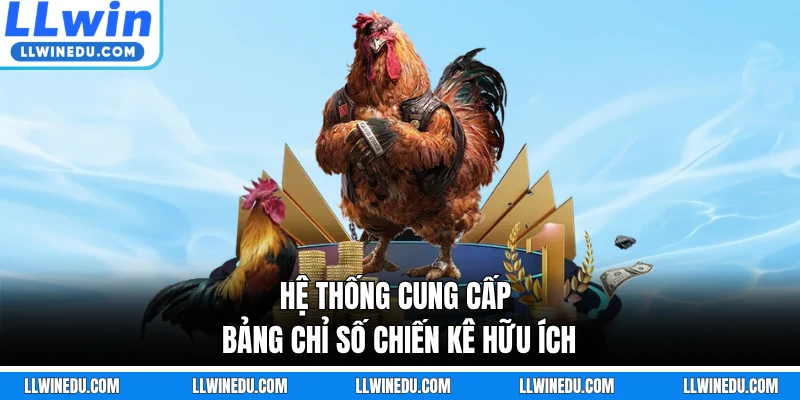 Hệ thống cung cấp bảng chỉ số chiến kê hữu ích